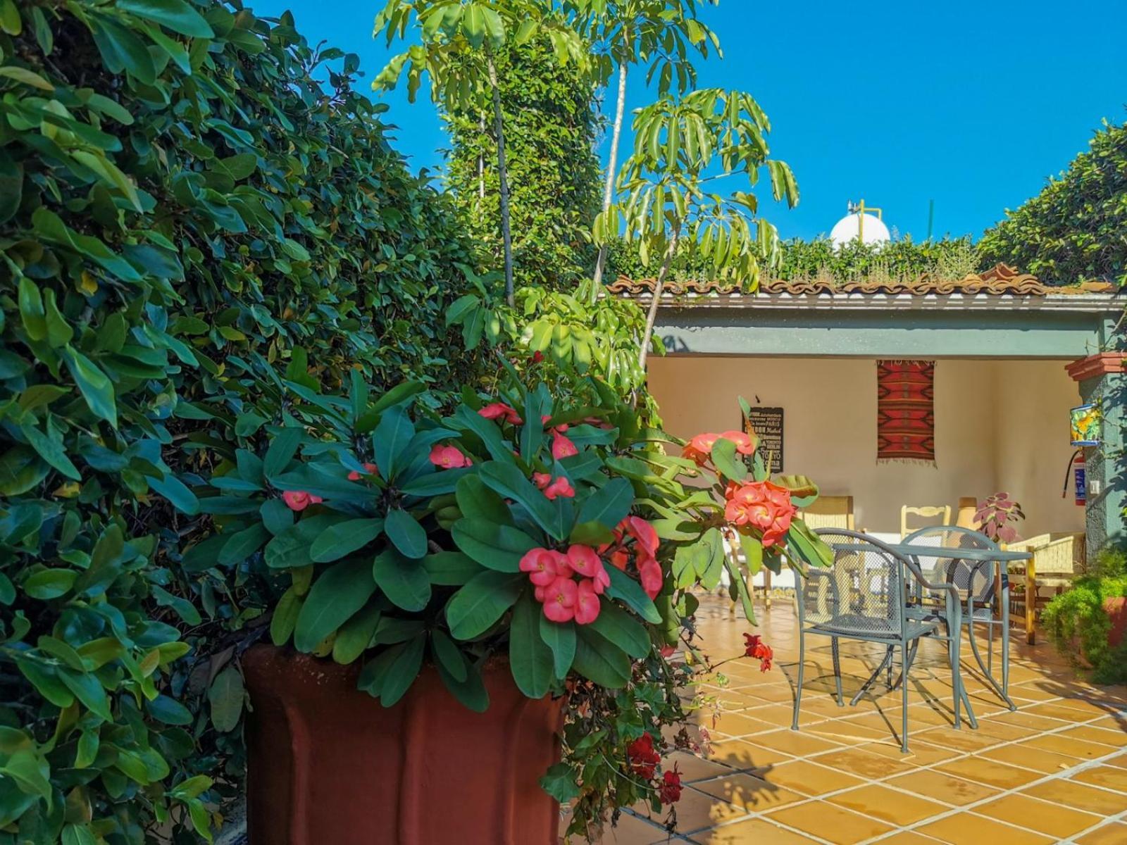Hotel Casa Guiva Oaxaca Bagian luar foto
